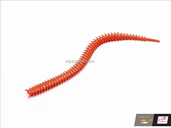 Attach Isome - Real Fisher